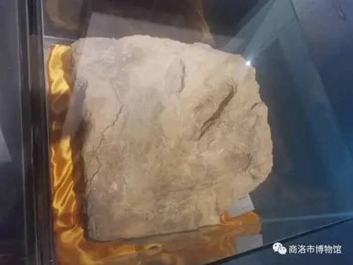 �����в���ݿ�����ӡ��ʯ���������