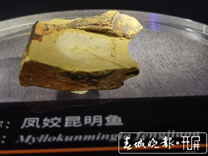 ����ġ�С���ڡ���5.18����ǰ��������