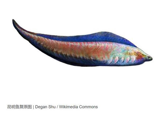 ����ġ�С���ڡ���5.18����ǰ��������