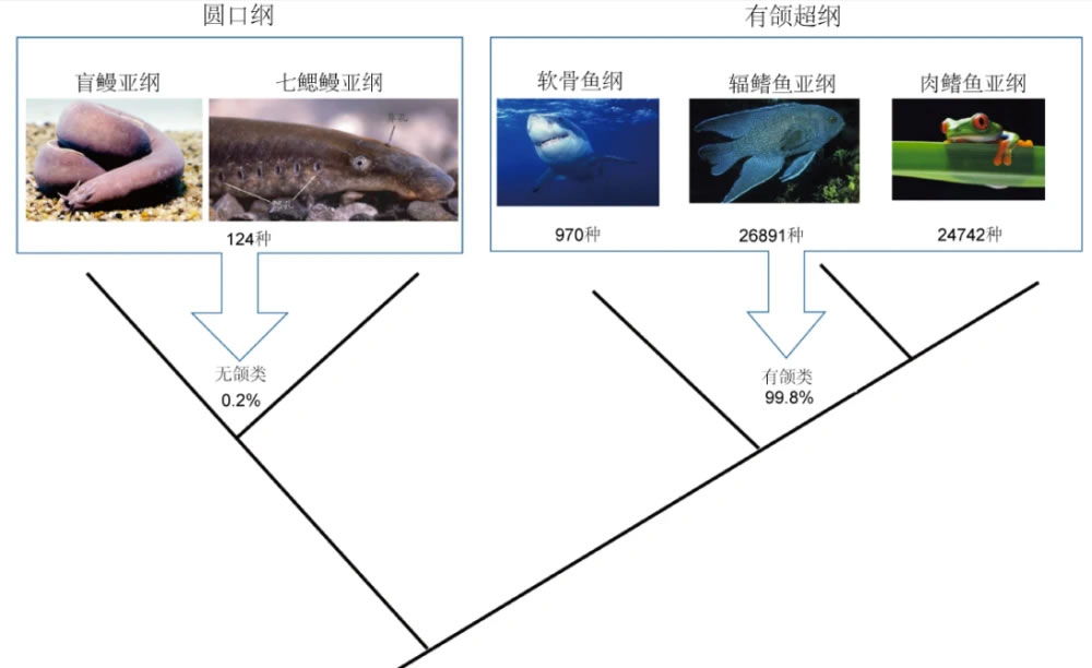 �����㡪����������⬼ס���ԭʼ�����