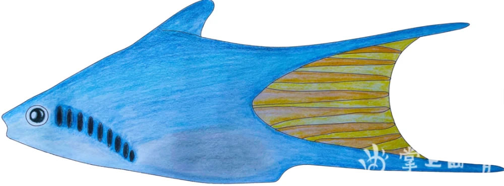 �����㡪����������⬼ס���ԭʼ�����