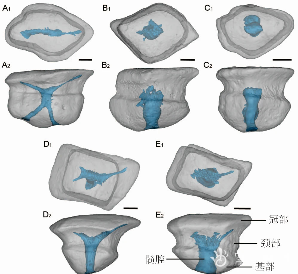 �����㡪����������⬼ס���ԭʼ�����