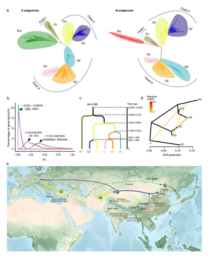 ��˵������γɺ�ѱ������
