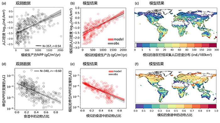 ��̬ϵͳ-�������ģ�ͽ�ʾ����ʳ������ʳռ��(�ɶ�ֲ����Դ�ļ�������Է�Ⱦ���)�������������͵�λNPP����֧�ŵ��˿��ܶ�