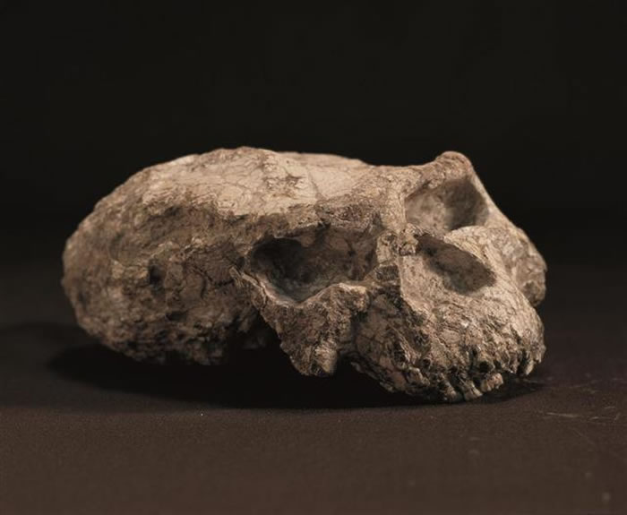 ������������ַ���й�����������ʷ����Ҫʵ֤��