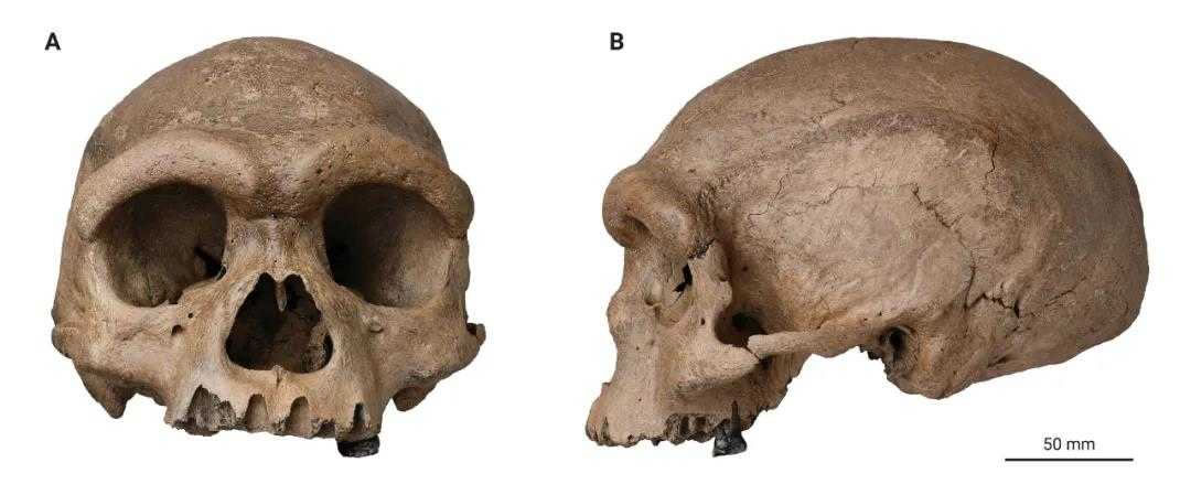 ͷǻʯ ͼ/The Innovationṩ