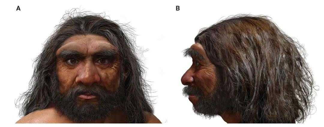 ˸ԭͼ ͼ/Դ棬The Innovationṩ