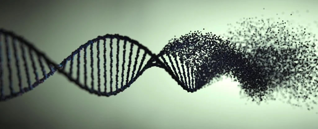 ���鶯��DNA�ش�����������ʯ��