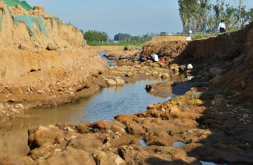 ����ʡƽ��ɽ��������Ȫ��һ�����꽫����˯��200����Ĵ��󡰻��ѡ�