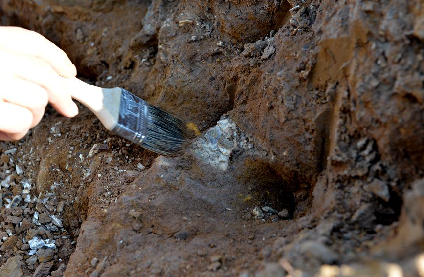 ����ʡƽ��ɽ��������Ȫ��һ�����꽫����˯��200����Ĵ��󡰻��ѡ�