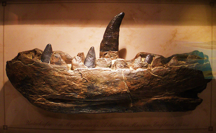 斑龙可怕的牙齿下颚模型及水晶宫的斑龙雕塑