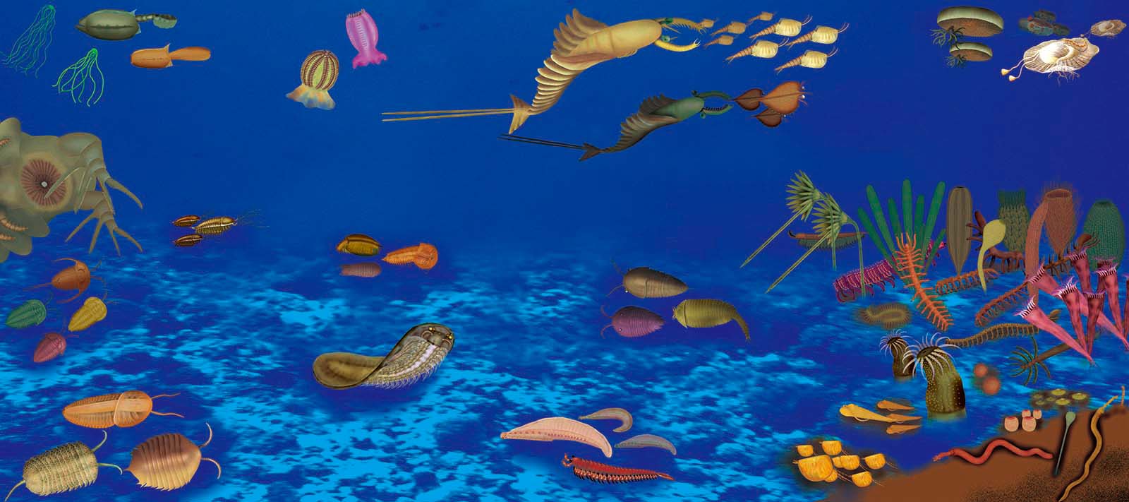 �ν�����Ⱥ��̬��ԭͼ