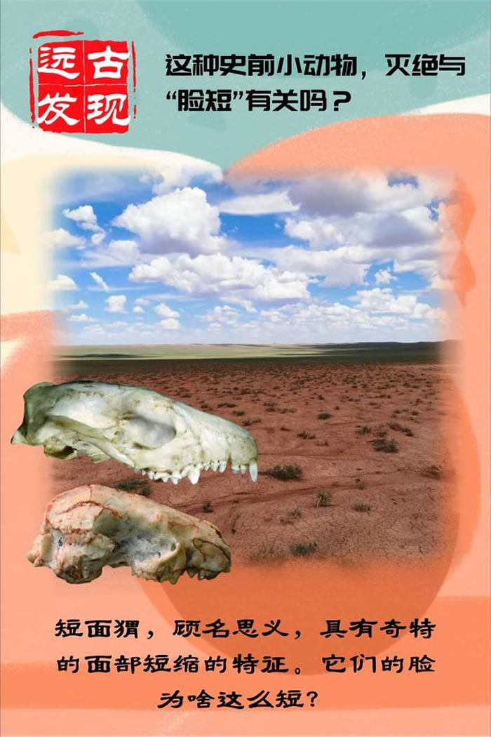 �й����ɹ��в�����2000����ǰ����⬻�ʯ ���������һ�����ŷǷ�����ɢ����