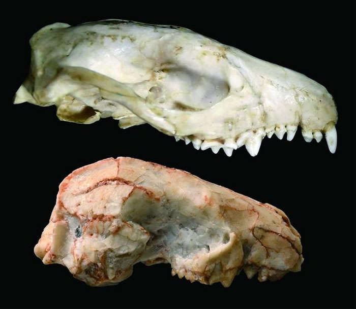 ��ǿƴ��⬣��ϣ��������ǿ�׼�����϶���⬣��£�ͷ�ǶԱ�ʾ��ͼ����¼�㣬�п�Ժ�ż�׵����ͼ��