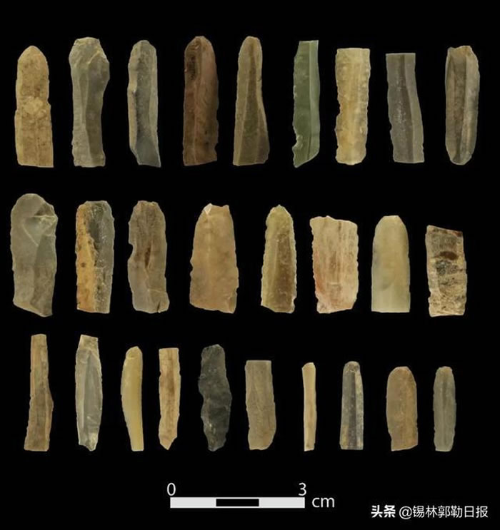 ��˹̫��Ѩ��ַ2021��ȿ��ŷ���ȡ����Ҫ��չ