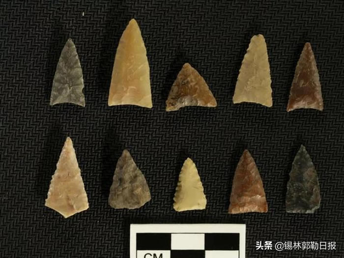 ��˹̫��Ѩ��ַ2021��ȿ��ŷ���ȡ����Ҫ��չ