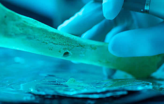 �µĻ����о�����ֻ��3%��ʷǰ���������ǵı��׽���