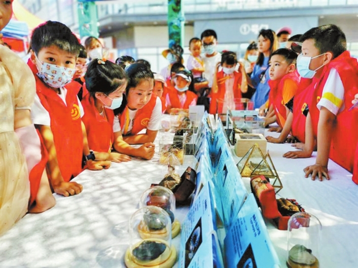 �ߺ�С�������������ѧԺ���Ͽ�չ������ʯ�����桤������Ȼ����չ���