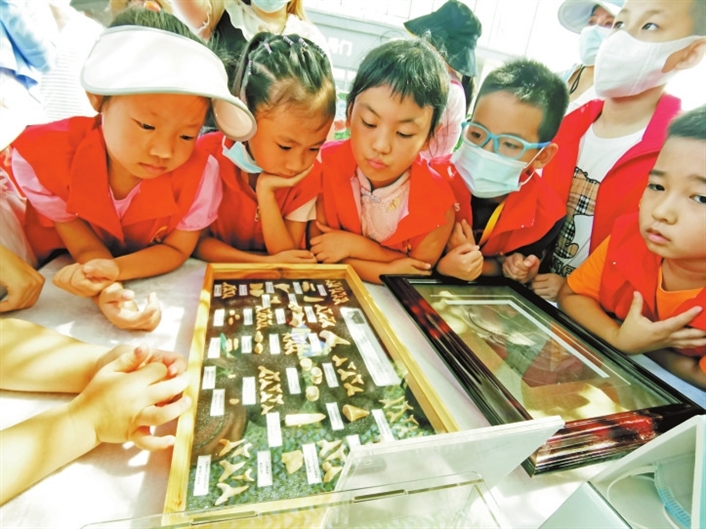 �ߺ�С�������������ѧԺ���Ͽ�չ������ʯ�����桤������Ȼ����չ���