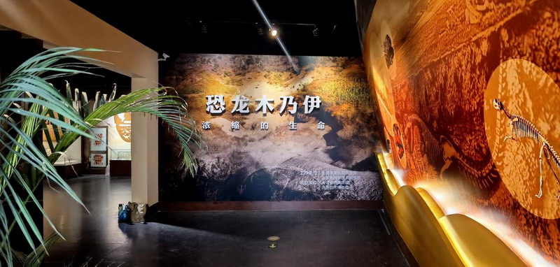 “恐龙木乃伊——浓缩的生命”展在天津自然博物馆三楼临展厅开展