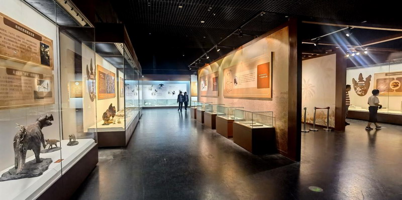 “恐龙木乃伊——浓缩的生命”展在天津自然博物馆三楼临展厅开展