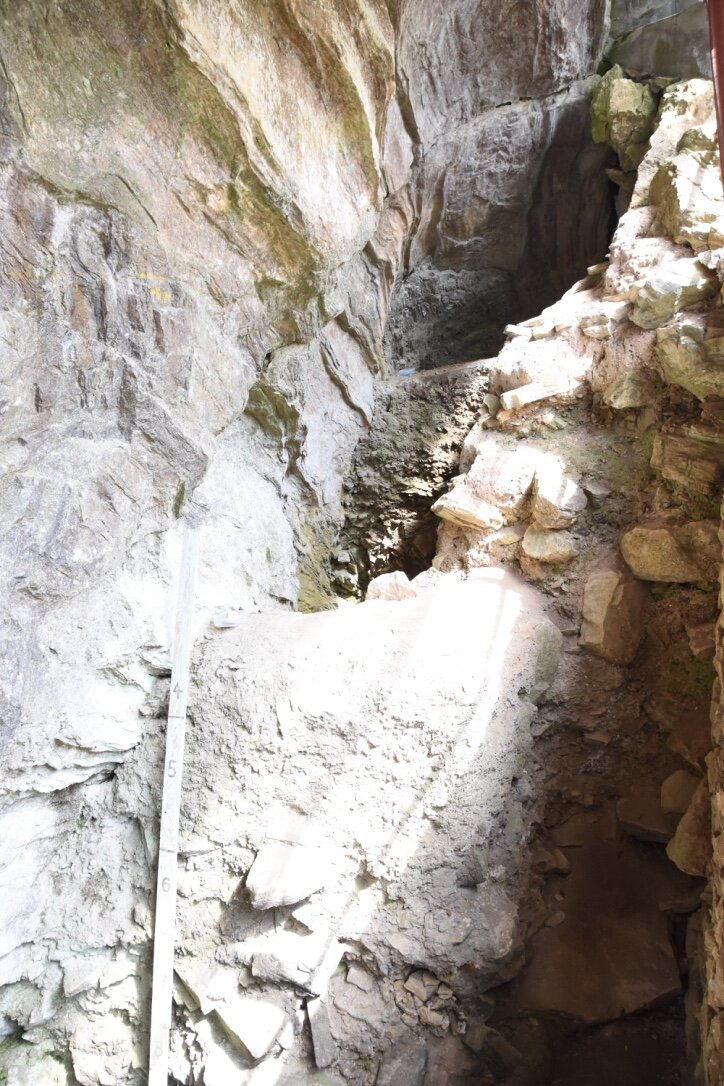 从人类骨骼中提取的古DNA改写日本的早期历史