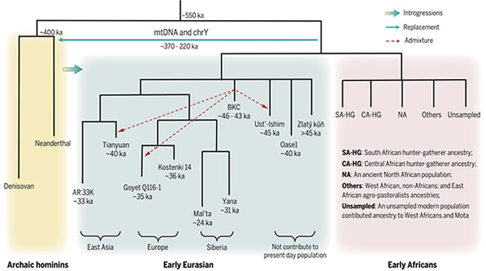 ����������������ִ��˵��Ŵ���ʷʾ��ͼ