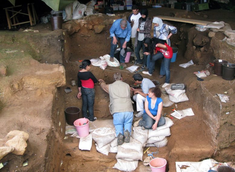 12万年前生活在现今摩洛哥的早期人类使用骨质工具制作衣服