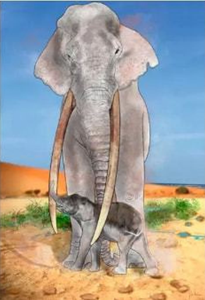 ���������ϲ����ֵĻ�ʯ��ӡ��ʾӤ�������ڱ���ʱ�ڡ�����Ӥ���ҡ���Ϸ