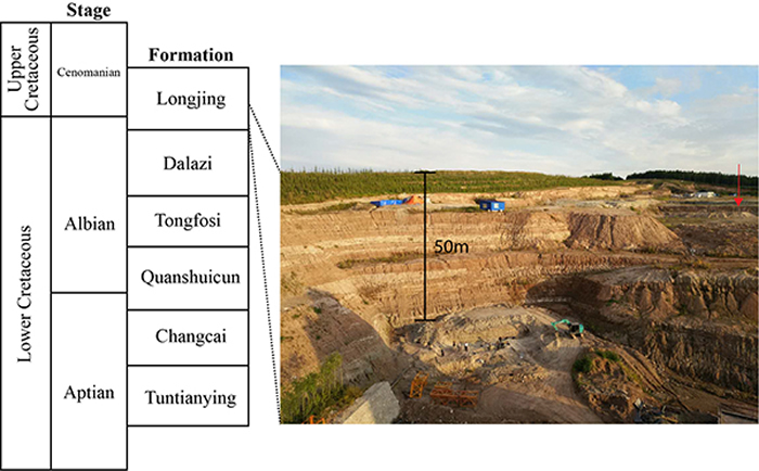 龙井组地层信息以及挖掘现场照片 (Rummy et al., 2021)