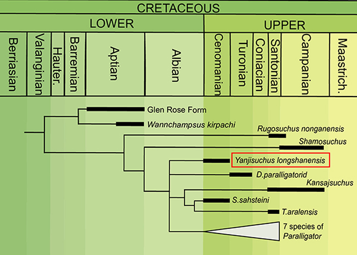 龙山延吉鳄系统位置图 (Rummy et al., 2021)