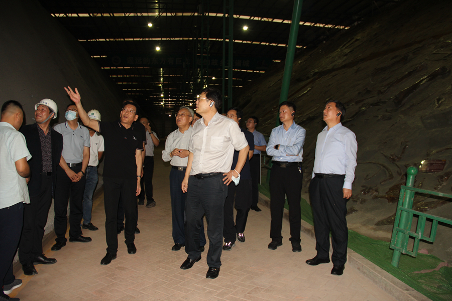 ��Ȼ��Դ����˾˾���Ͻ�����Ϋ���е��й����ﻯʯ��������