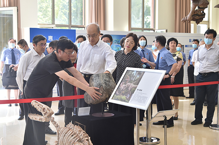 ������������ʯ����˾�������������Ҽ���ѧԺ������ʯ��������ж�ר��չ��