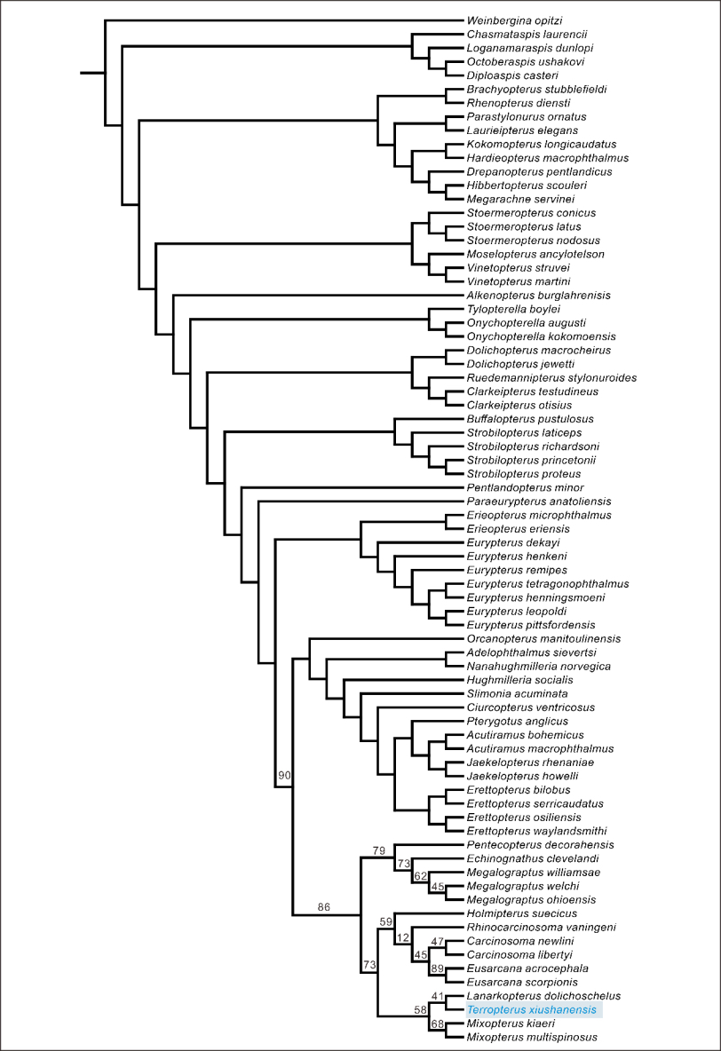 ϵͳ���������������ɽ���ױ�עΪ��ɫ��