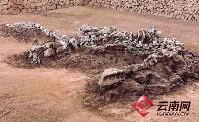 ���ݿ���ɽ �Լ��� ��