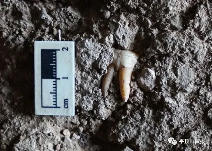 ����³ɽ���˶���ʯ��ʱ����ַ����ʼĩ