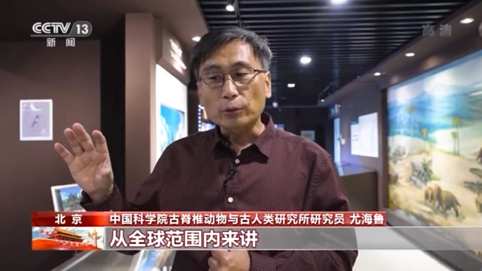 ����Ĭ��ʯͷ����ο���˵�����й���Ѱ���ǡ���»������