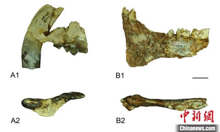 ���޶��ġ������򤻢����A��ɽ������˺�廯ʯ���ϣ�B���������﹫���뻯ʯ���ϣ���ͼԴ���ﲩ�������� �п�Ժ�ż�׵�� ��ͼ