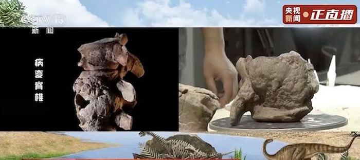 ���������׵