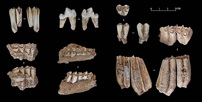 ����ʡƽ��ɽ��³ɽ�����˶���ַ���־��3.2��������ͷ�ǻ�ʯ