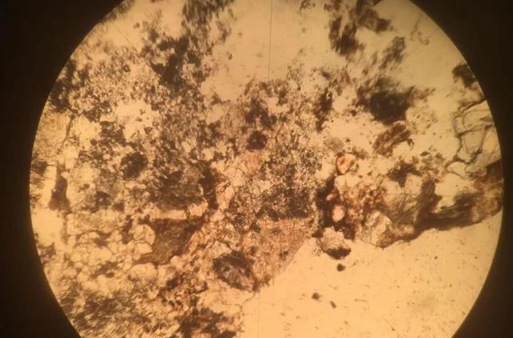 ������������ɽ��������ʯȺ���ʹ�԰�״η��ֿ���������ʯȷ��֤��