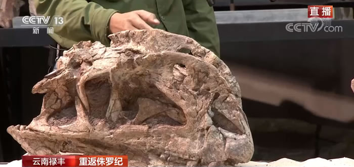 �������������𣿿����ƿ�������С֪ʶ