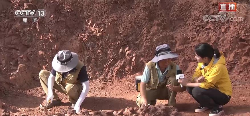 �����ġ����ա����˽���٣�����Ҳ��þ�׵��