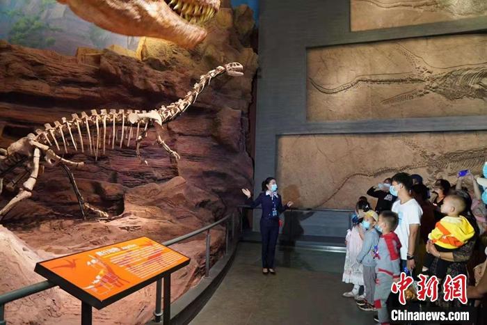 澄江化石地自然博物馆讲解员张晓静:讲述生命大爆发的远古往事