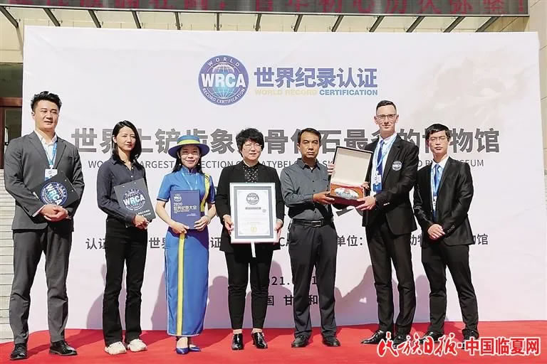 甘肃和政古动物化石博物馆获世界纪录认证“世界上铲齿象头骨化石最多的博物馆”