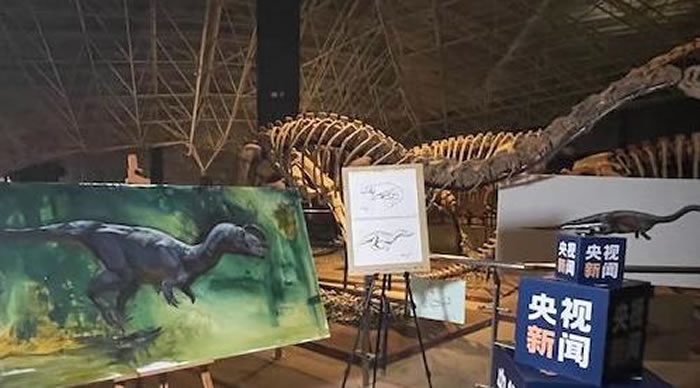 ԭ��ͬס�������������ǿ����ġ����ѡ�