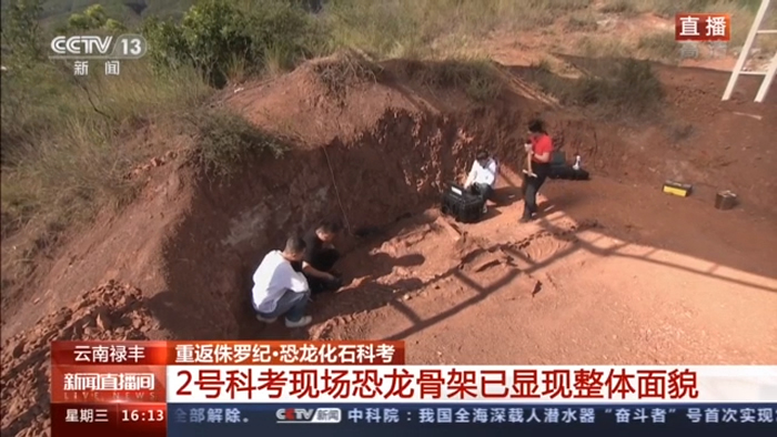 2�ſƿ��ֳ��������Ǽ�������������ò