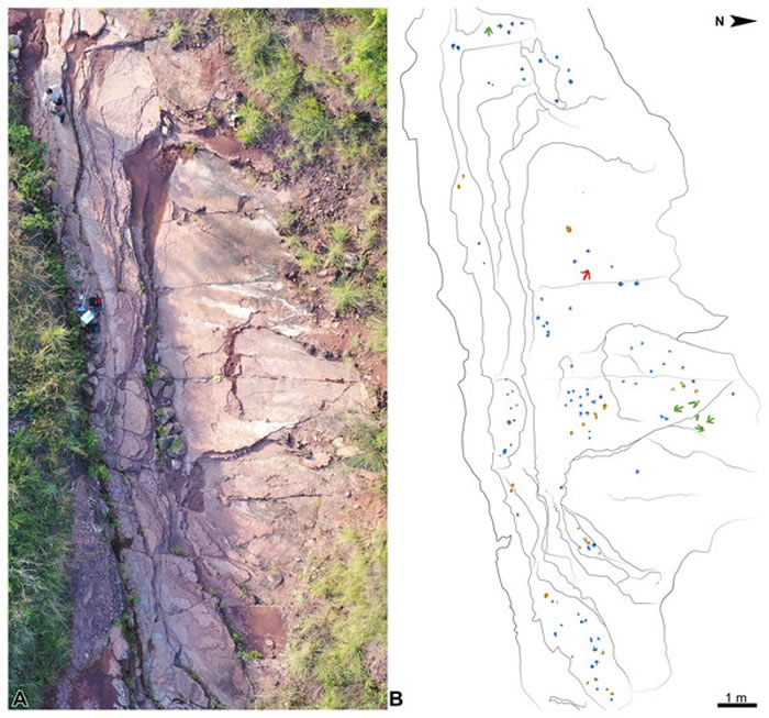 云南滇中盆地发现1.9亿年前早侏罗世晚期的兽脚类恐龙足迹点