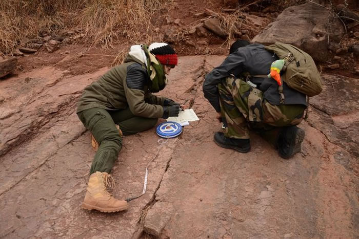 研究人员在野外进行工作。(李洪清供图)