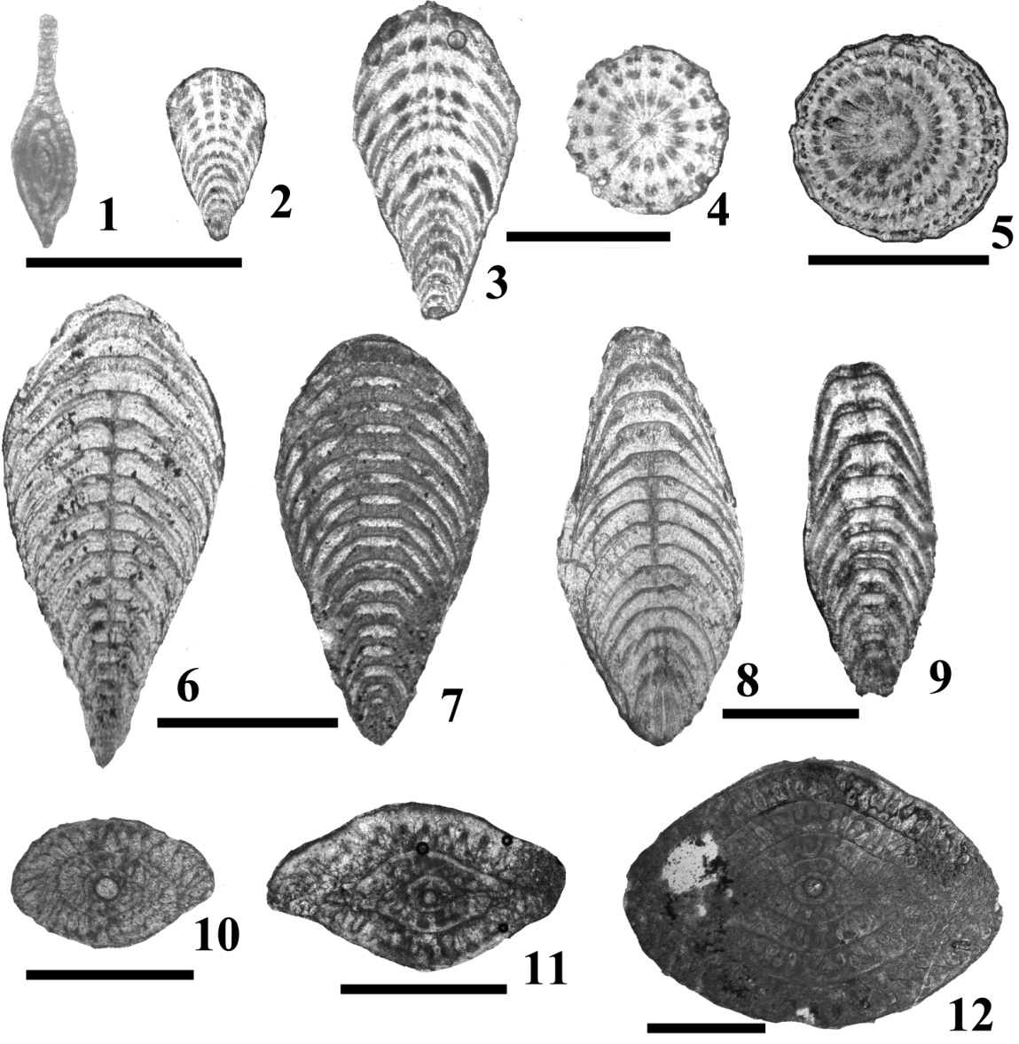 ��Ǽ���Ⱦ��迨������������ѩԴ�����е��п׳滯ʯ